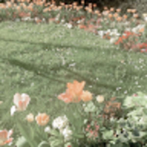 Meet your Posher, Jillian